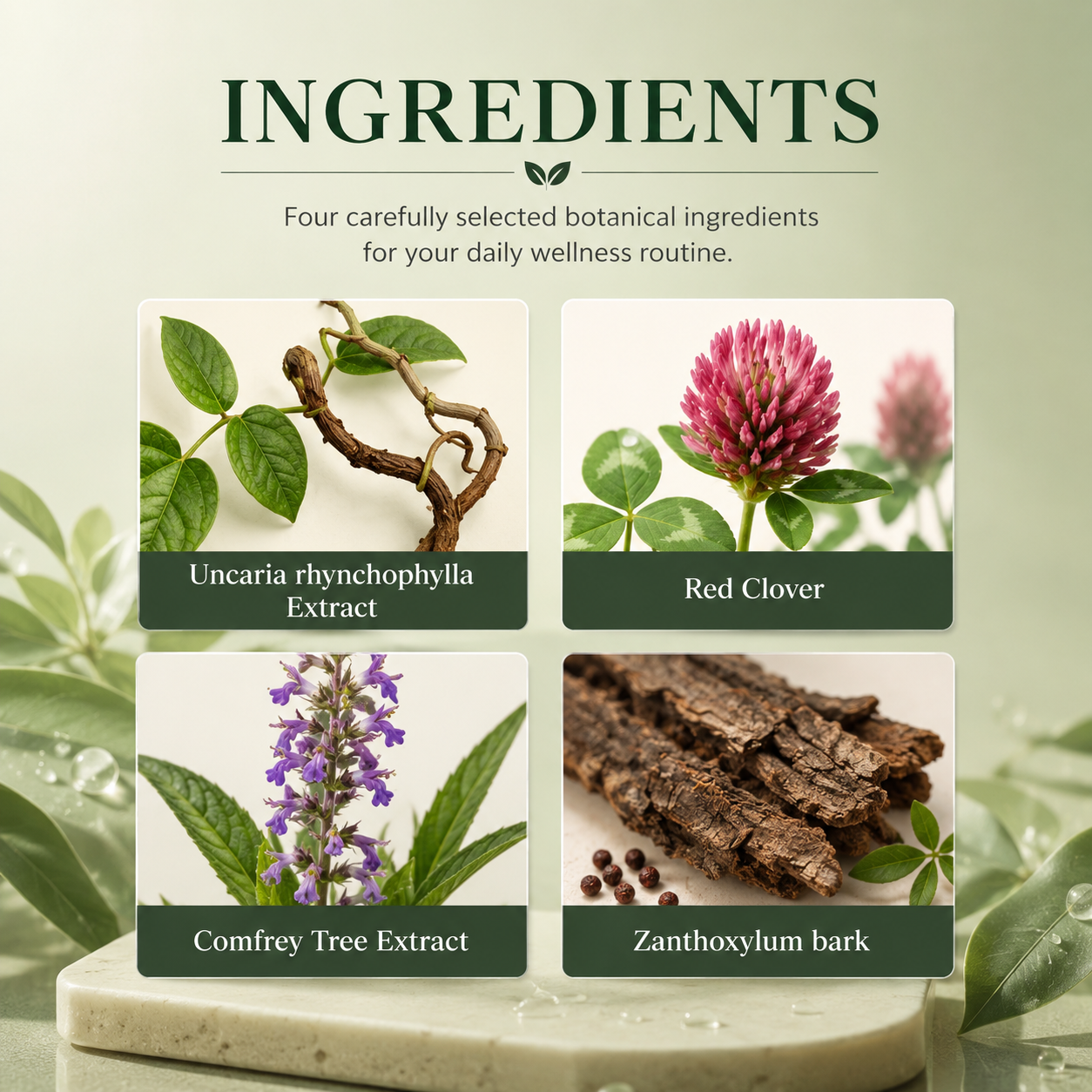 Lymphiva™ Drops - Support Your Natural Flow