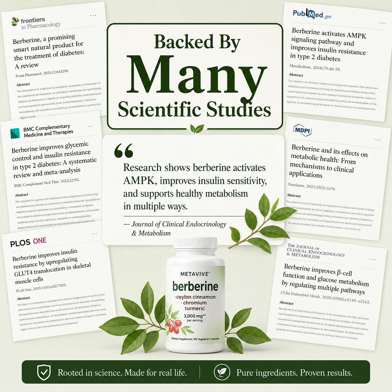 Metavive™ - A Smarter Way to Support Your Wellness Journey